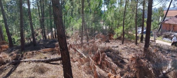  قطعة أرض في Ourem, Portugal 5000متر مربع رقم 73939 5