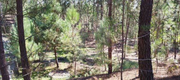  قطعة أرض في Ourem, Portugal 5000متر مربع رقم 73939 4