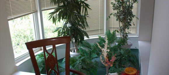 470m² Villa in Chalkidiki, Greece No. 56404 27