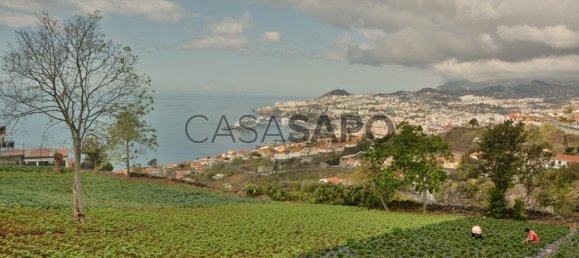 Grundstück in Funchal, Portugal, Nr. 144038 2