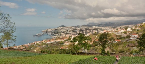 Grundstück in Funchal, Portugal, Nr. 144038 3