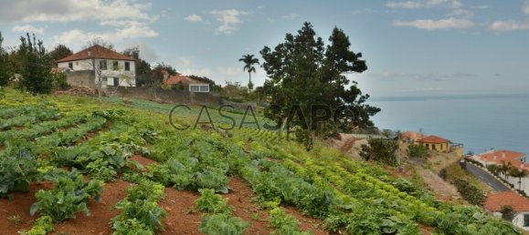 Grundstück in Funchal, Portugal, Nr. 144038 8