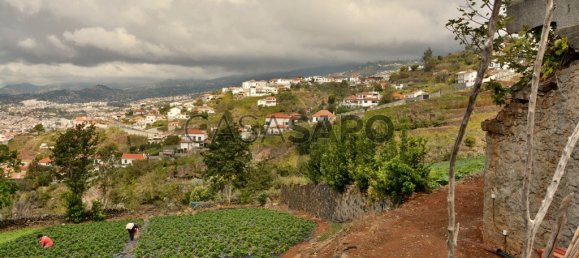 Grundstück in Funchal, Portugal, Nr. 144038 4