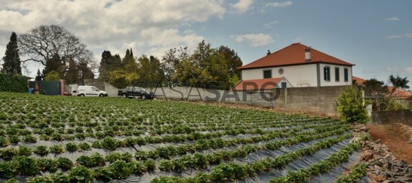 Grundstück in Funchal, Portugal, Nr. 144038 6