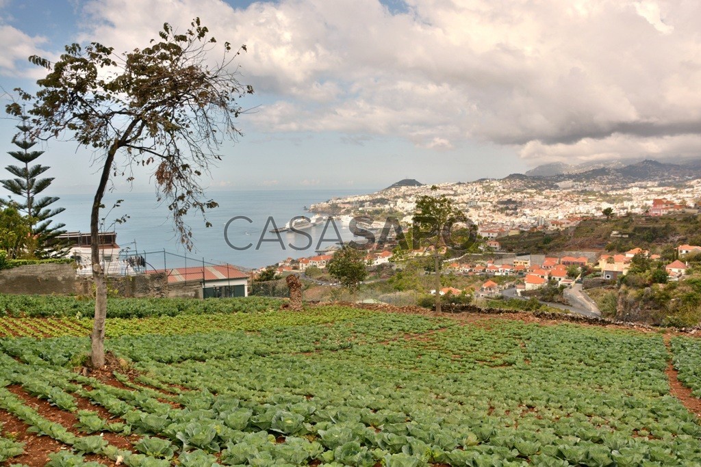 Grundstück in Funchal, Portugal, Nr. 144038