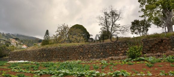 Grundstück in Funchal, Portugal, Nr. 144038 12