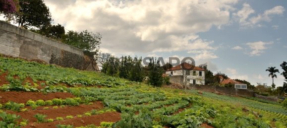 Grundstück in Funchal, Portugal, Nr. 144038 7