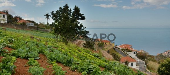 Grundstück in Funchal, Portugal, Nr. 144038 11