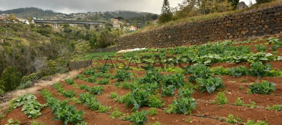 Grundstück in Funchal, Portugal, Nr. 144038 10
