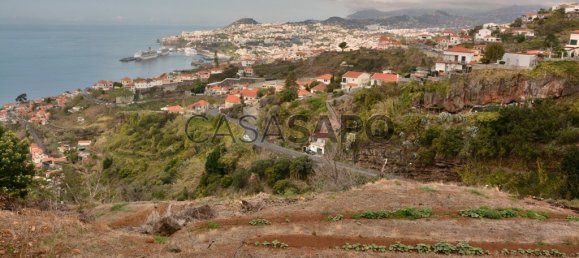 Grundstück in Funchal, Portugal, Nr. 144038 13