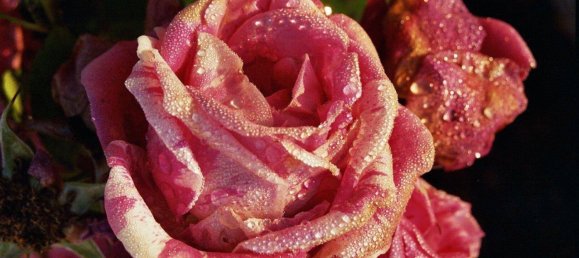 Casa de 3 divisões em Grafenbach-St. Valentin, Austria N.º 174538 20