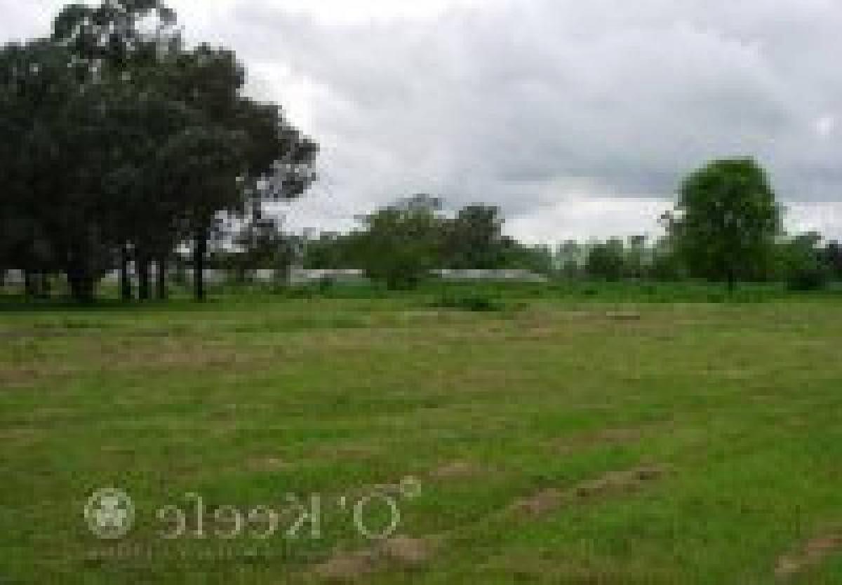  Land in Berazategui, Argentina No. 46413
