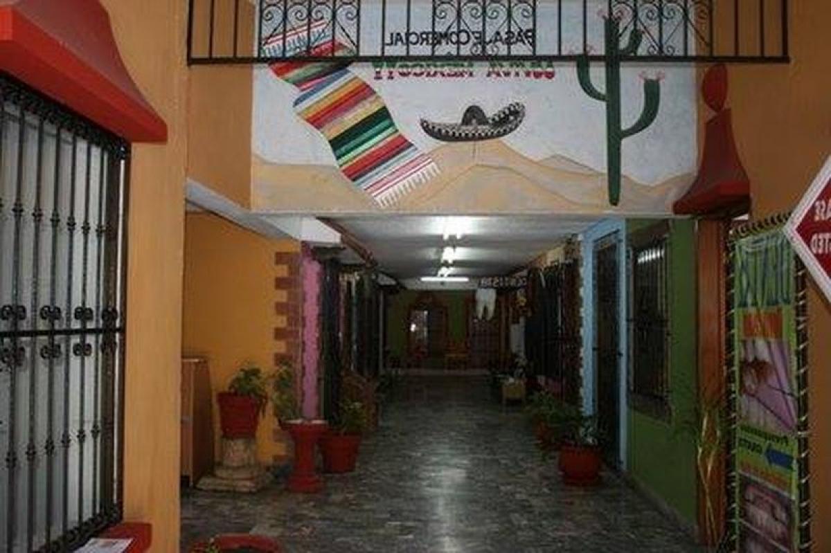 Gebäude in Mexico 720m², Nr. 201917