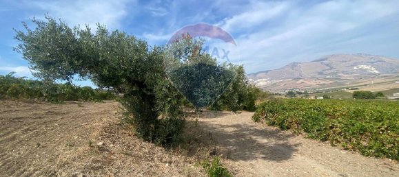 1 bedroom House in Buseto Palizzolo, Italy No. 320329 13