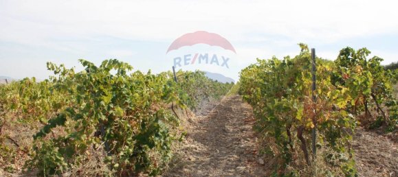 1 bedroom House in Buseto Palizzolo, Italy No. 320329 15