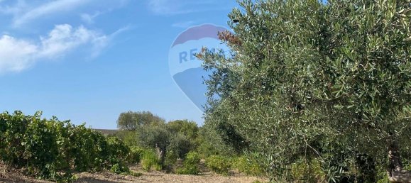 1 bedroom House in Buseto Palizzolo, Italy No. 320329 12