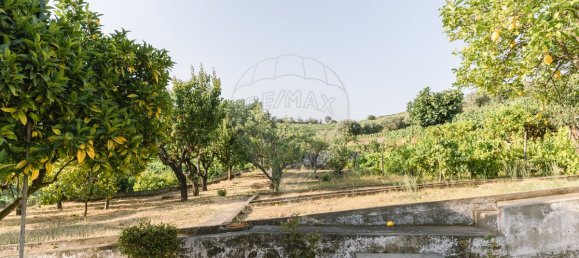 4 Schlafzimmer Haus in Peso da Regua, Portugal, Nr. 222537 7