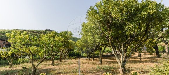 4 Schlafzimmer Haus in Peso da Regua, Portugal, Nr. 222537 8