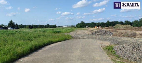 Grundstück in Straß in Steiermark, Austria 3000m², Nr. 194283 7