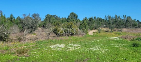 Grundstück in Coruche, Portugal 21000m², Nr. 85578 19