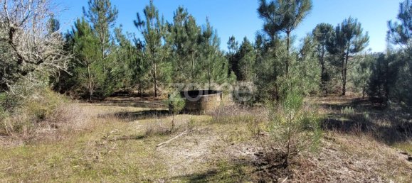 Grundstück in Coruche, Portugal 21000m², Nr. 85578 12