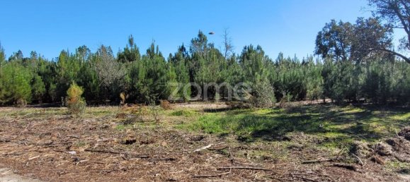 Grundstück in Coruche, Portugal 21000m², Nr. 85578 9