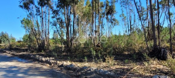 Grundstück in Coruche, Portugal 21000m², Nr. 85578 8