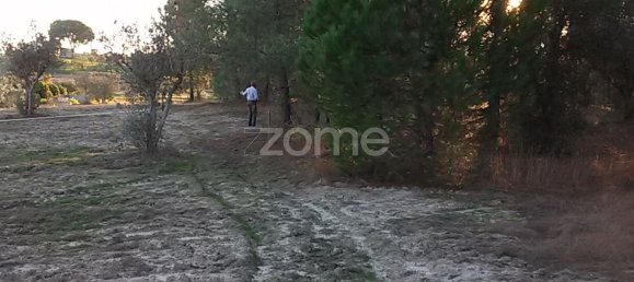 Grundstück in Coruche, Portugal 21000m², Nr. 85578 2