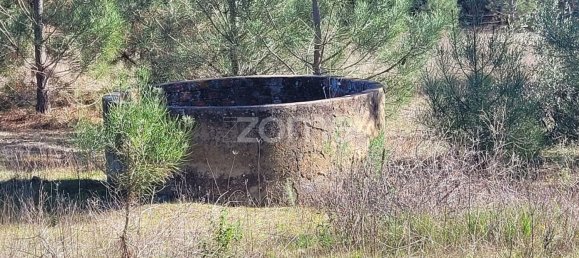 Grundstück in Coruche, Portugal 21000m², Nr. 85578 13