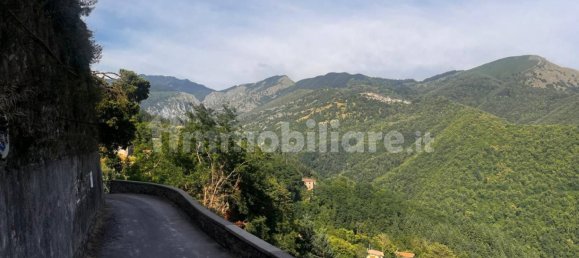 1 Schlafzimmer Haus in Coreglia Antelminelli, Italy, Nr. 301081 12