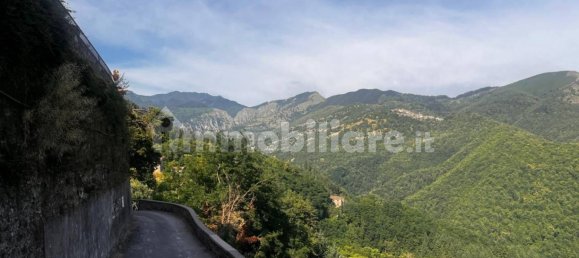 1 Schlafzimmer Haus in Coreglia Antelminelli, Italy, Nr. 301081 14