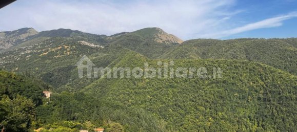 1 Schlafzimmer Haus in Coreglia Antelminelli, Italy, Nr. 301081 11