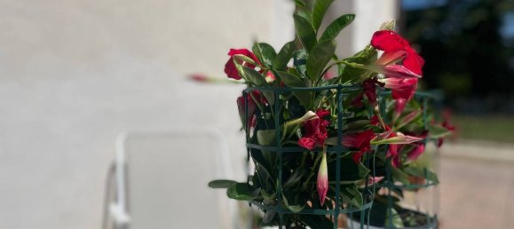 2 Schlafzimmer Haus in Castelliri, Italy, Nr. 56885 4