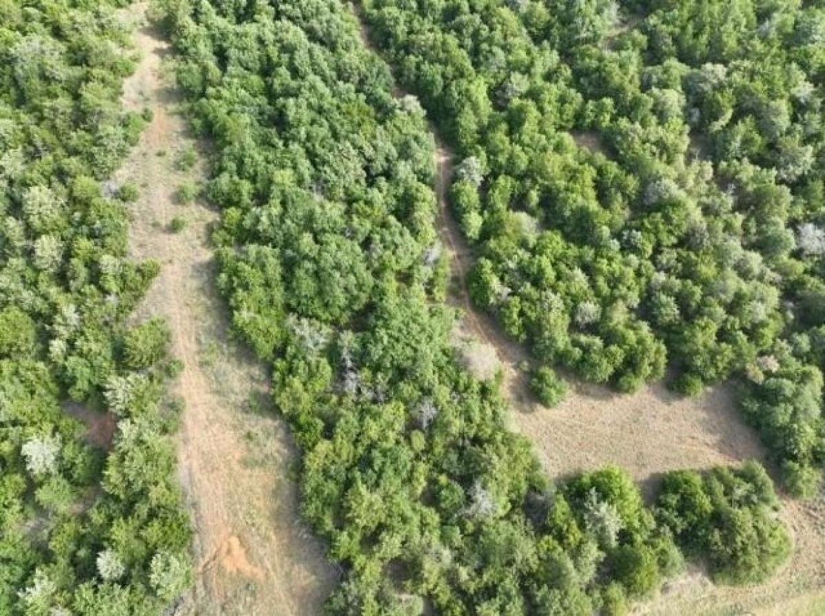  Land in Minco, USA No. 498553