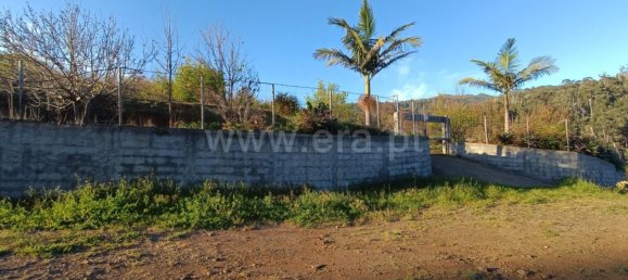  Land in Calheta, Portugal No. 109580 8