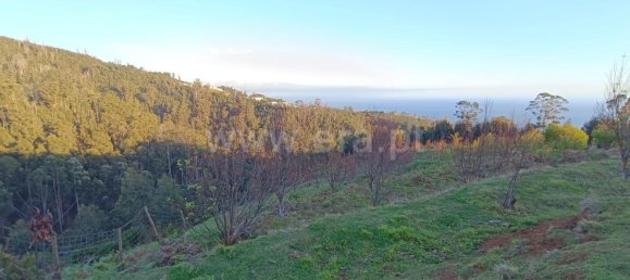  Land in Calheta, Portugal No. 109580 20