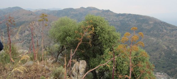 Земельный участок 7150м² в Кастельмола, Италия № 102341 3