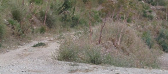 Земельный участок 7150м² в Кастельмола, Италия № 102341 15