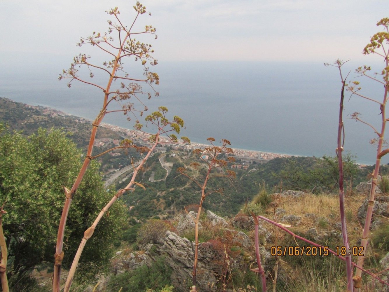 Земельный участок 7150м² в Кастельмола, Италия № 102341