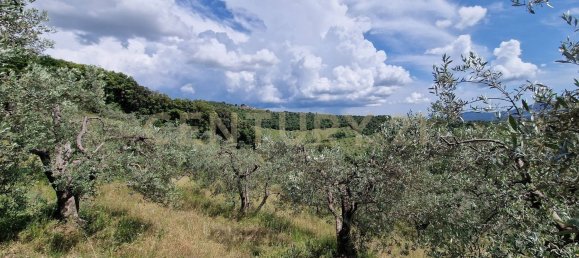 1 غرف نوم منزل في Roccastrada, Italy رقم 316839 6