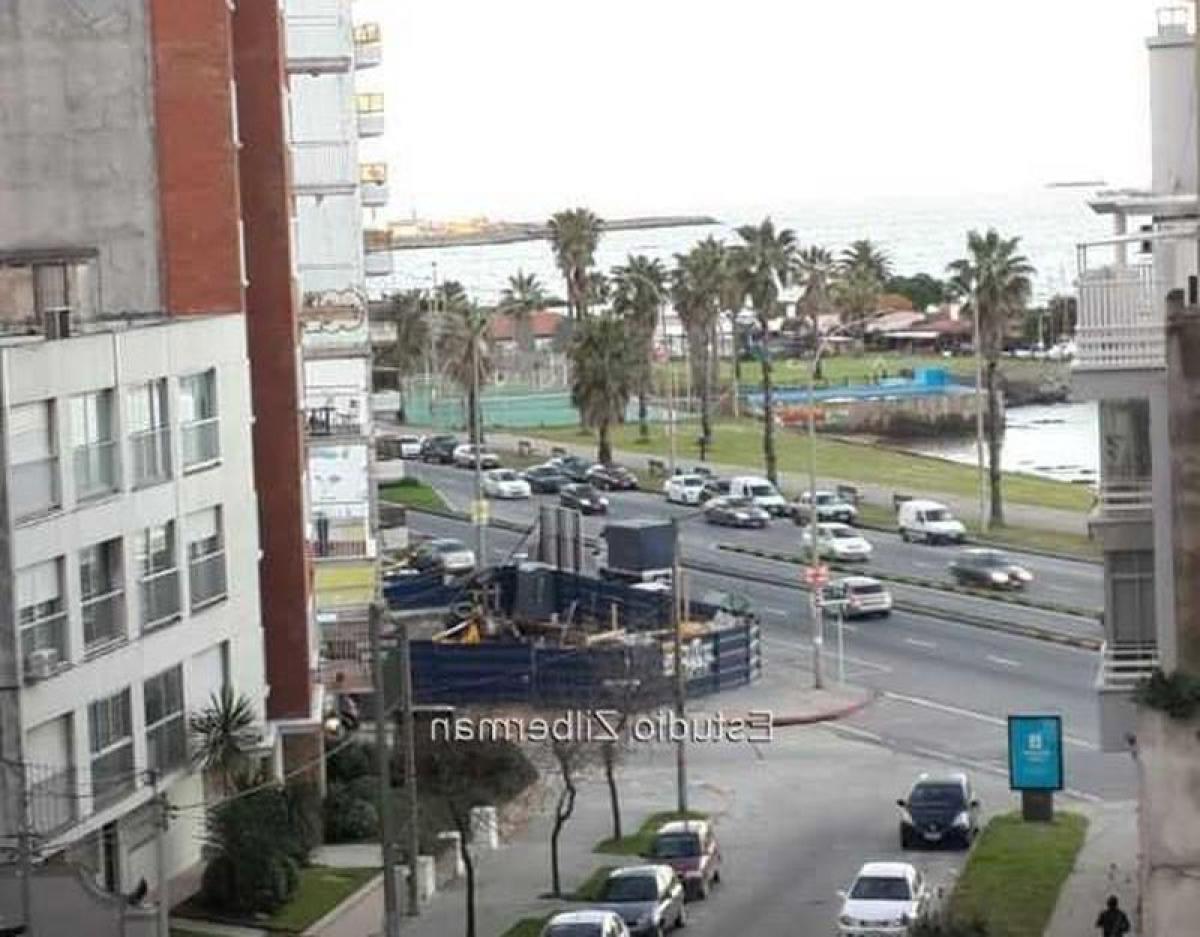 استوديو في Montevideo, Uruguay رقم 2507