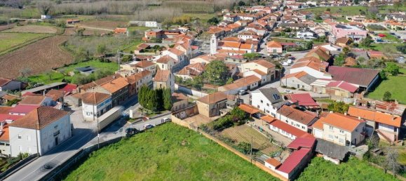 2 bedrooms House in Avelas de Caminho, Portugal No. 40659 7