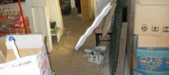 Gewerbliche Immobilie in Pomezia, Italy 111m², Nr. 326877 14