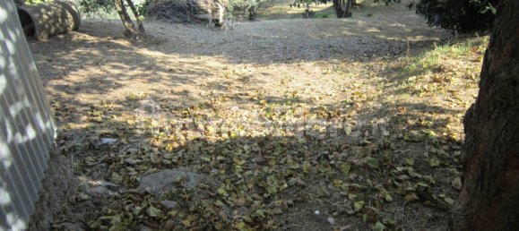 1 غرف نوم منزل في Schiavi di Abruzzo, Italy رقم 354690 18