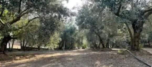  Land in Lleida, Spain No. 162806 5