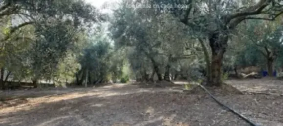  Land in Lleida, Spain No. 162806 7