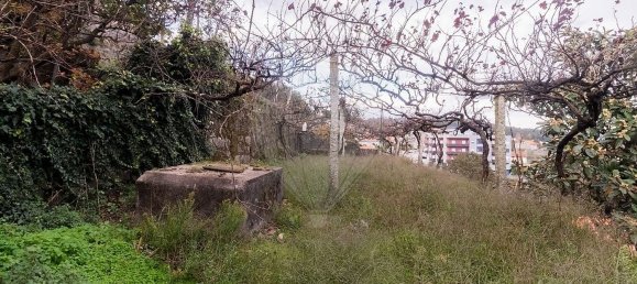 6 bedrooms House in Rio de Moinhos, Portugal No. 168840 26