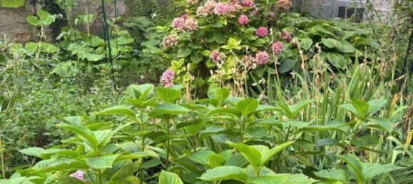 2-salle Appartement à Mariahilf, Austria No. 256333 5