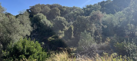 5848m² Land in Figari, France No. 93106 17