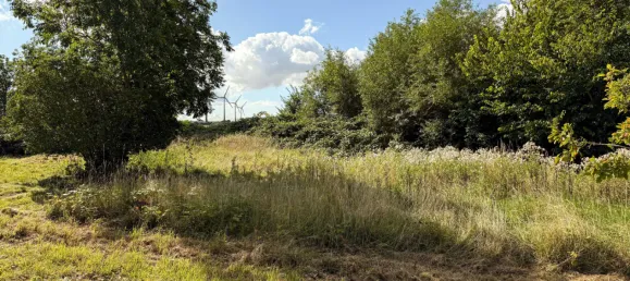  Land in Ostholstein, Germany No. 269570 6